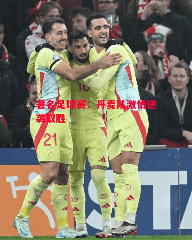 著名足球赛：丹麦队激情逆袭取胜