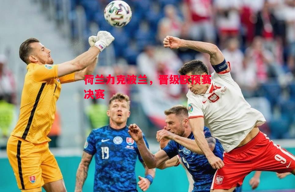 荷兰力克波兰,晋级欧预赛决赛 荷兰力克波兰,晋级欧预赛决赛