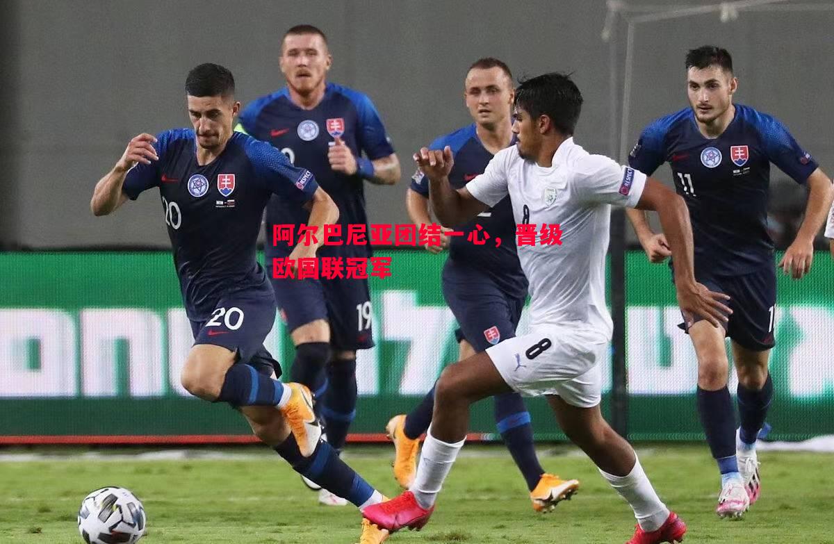 德信体育-阿尔巴尼亚团结一心，晋级欧国联冠军