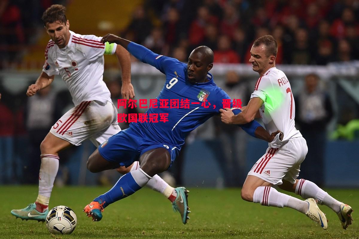 阿尔巴尼亚团结一心，晋级欧国联冠军