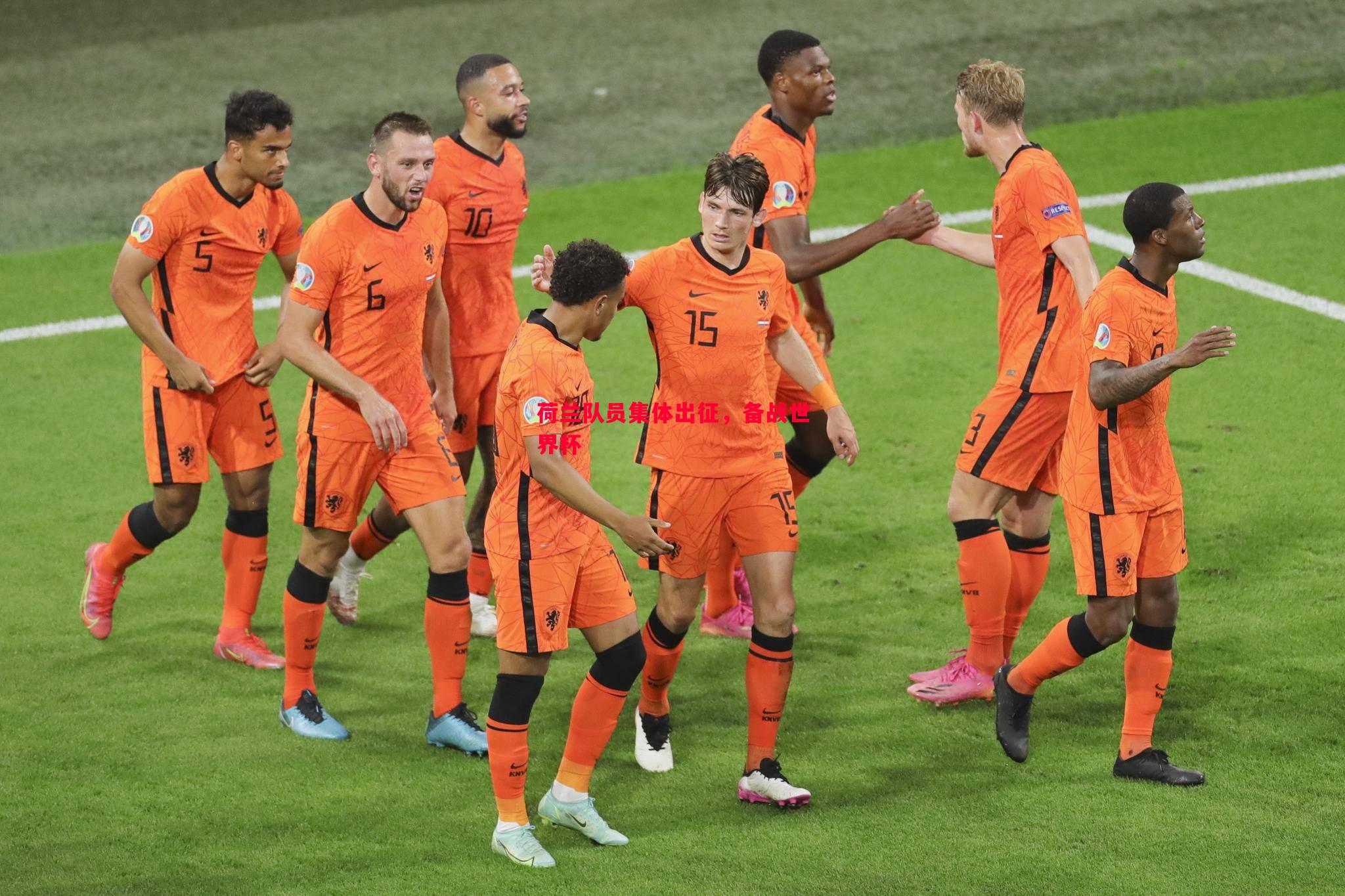 荷兰队员集体出征,备战世界杯 荷兰队员集体出征,备战世界杯