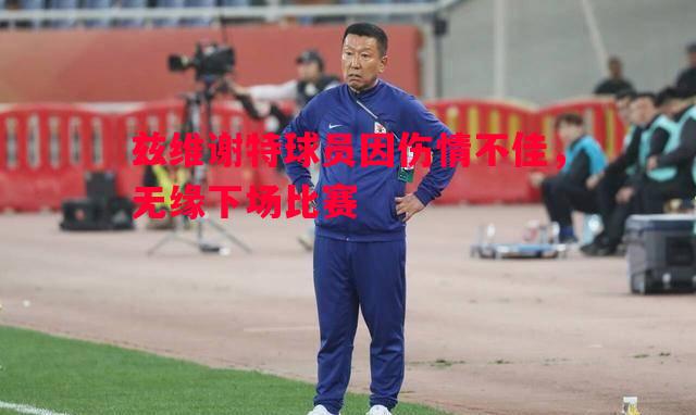 兹维谢特球员因伤情不佳,无缘下场比赛 兹维谢特球员因伤情不佳,无缘下场比赛