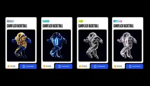 南美洲篮球职业联盟球队动态 南美洲篮球职业联盟球队动态