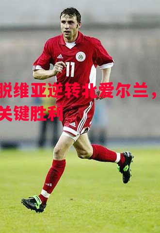 拉脱维亚逆转北爱尔兰,喜迎关键胜利 拉脱维亚逆转北爱尔兰,喜迎关键胜利